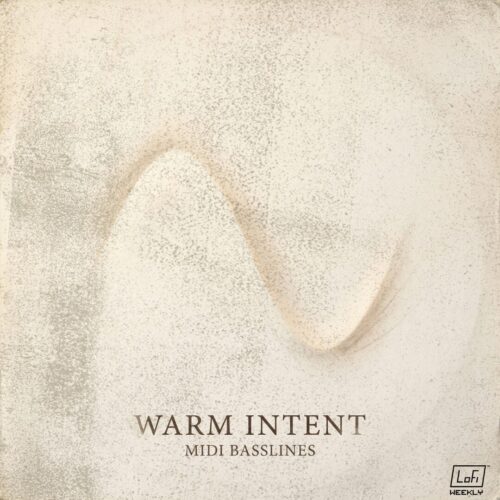 Warm Intent MIDI Basslines album cover art